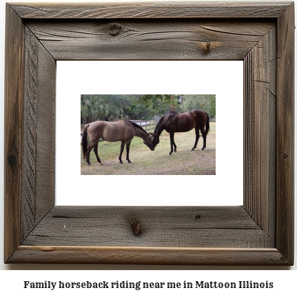 family horseback riding near me in Mattoon, Illinois